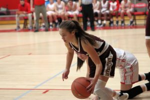 todd-central-girls-vs-mcclean-co-110