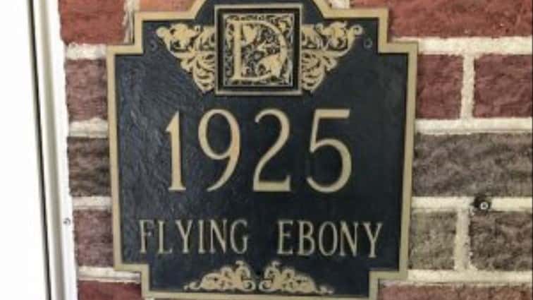 5-2-flying-ebony