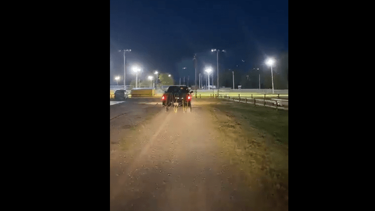 drive-by