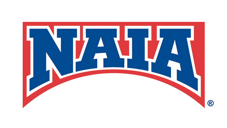 naia-log-3