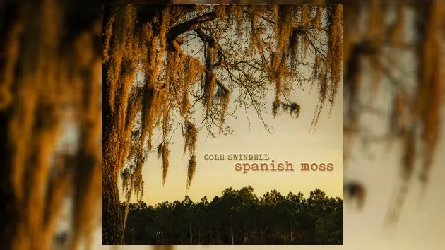 m_coleswindellspanishmosswarner75248