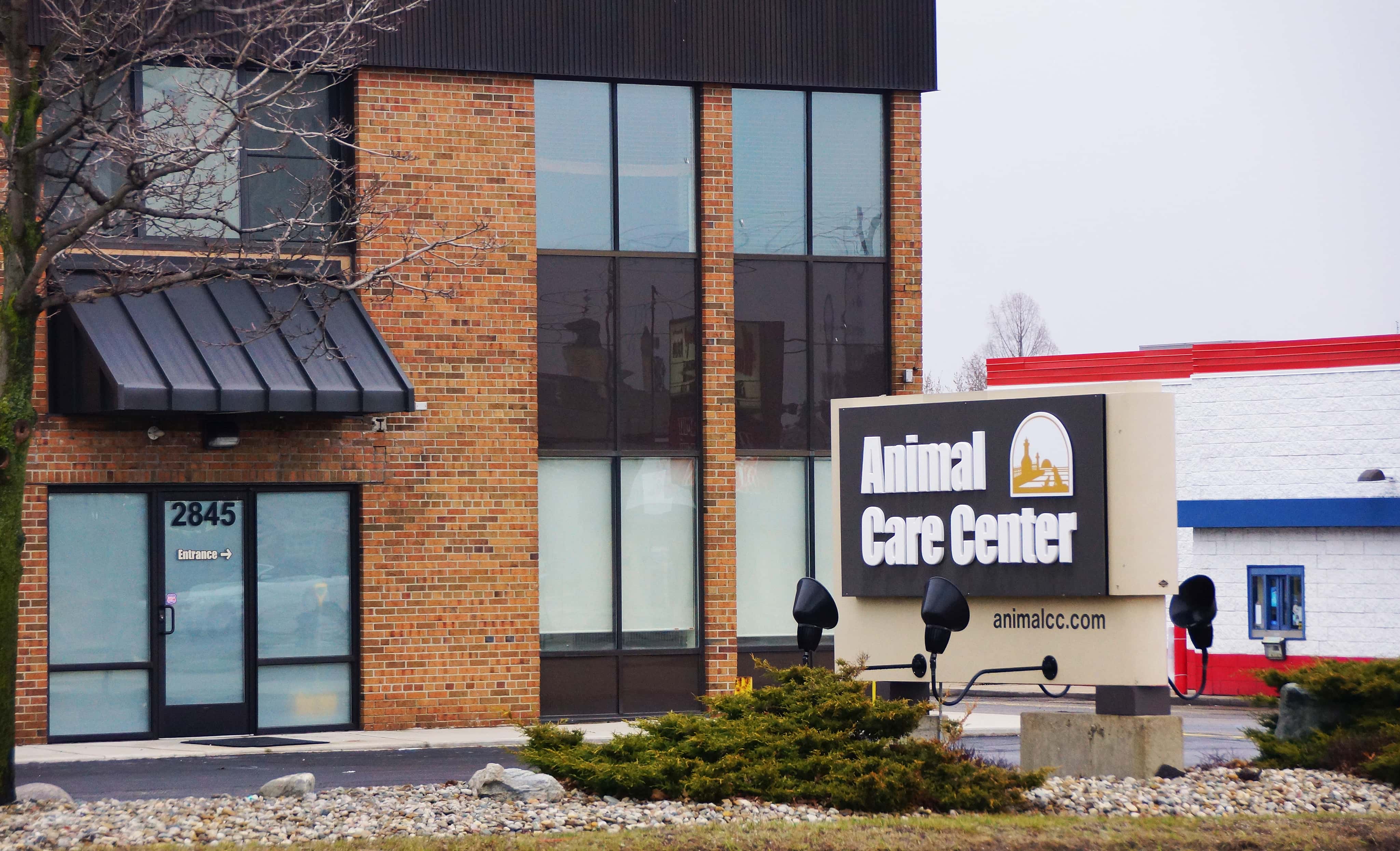 Animal Care Center Announces Abrupt Decision to Cease Operations in St. Joe  | Moody on the Market