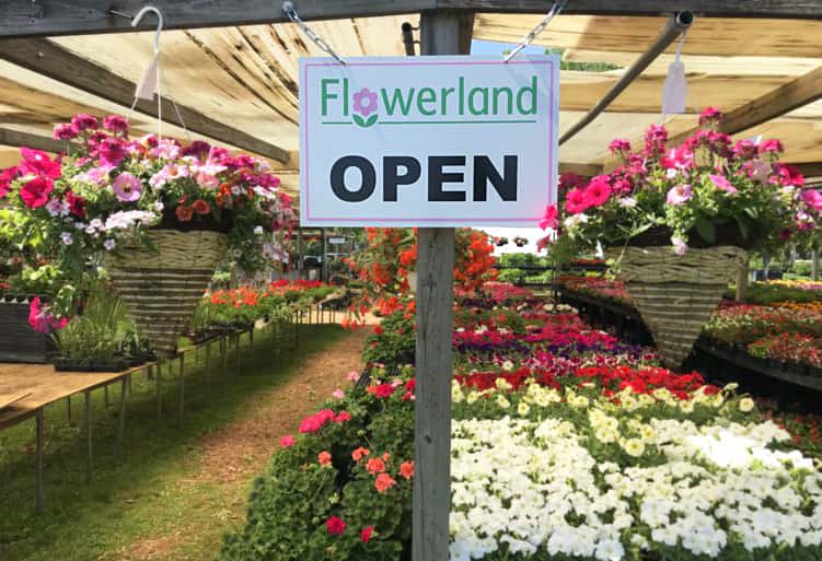 flowerland-open