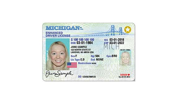 michigan driver license types