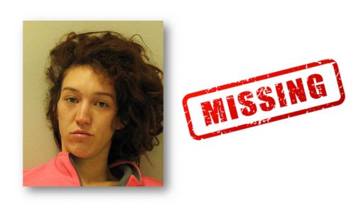 Police Seek Help In Finding Missing Sw Michigan Woman Moody On The Market