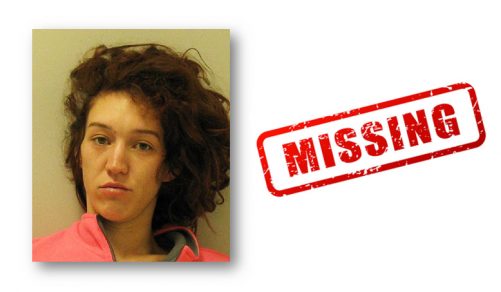 Police Seek Help In Finding Missing SW Michigan Woman | Moody On The Market