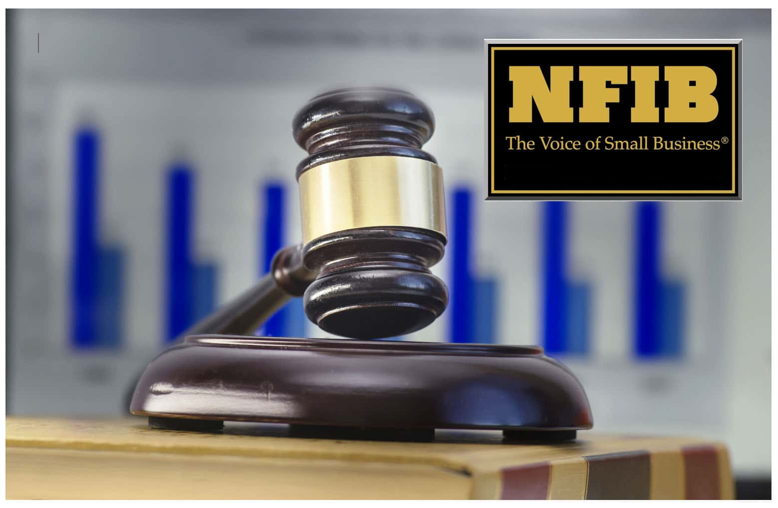 nfibgavel-2