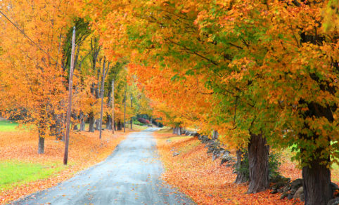 24 Ways to Experience the Fall Colors Across West Michigan - Vimarsana News