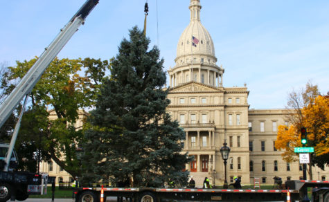 Michigan Capitol Christmas Tree 2022 Official 2020 Michigan State Christmas Tree Placed On Capitol Lawn | Moody  On The Market