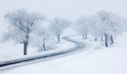 snowy-winter-road-trees-with-snow-and-fog