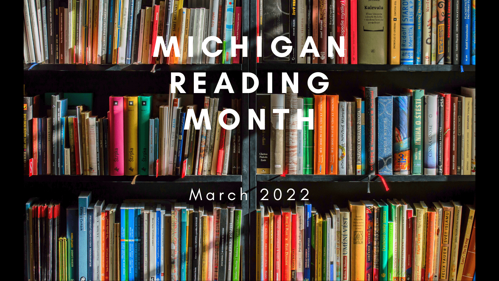 Virtual Reading Tours and Michigan Reading Month Moody on the Market