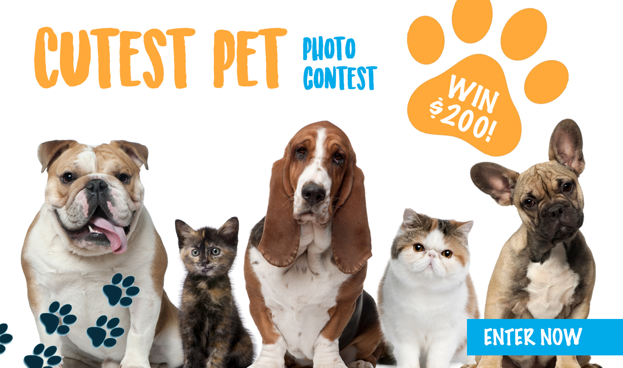 vote-for-the-cutest-pet-contest-winner-la-mega-1057