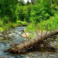 Ruidoso River in Ruidoso^ New Mexico.