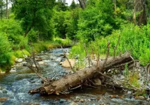 Ruidoso River in Ruidoso^ New Mexico.