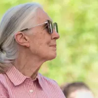 Jane Goodall speaks in Sashegy^ Budapest Budapest^ Hungary - August 09^ 2019