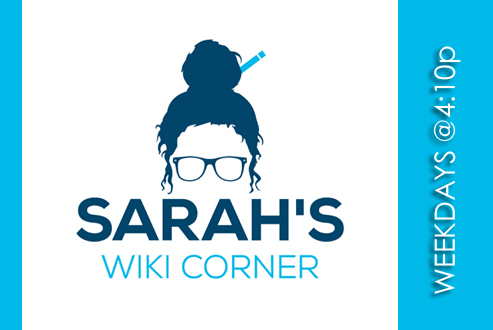 sarahs-wiki-corner-2