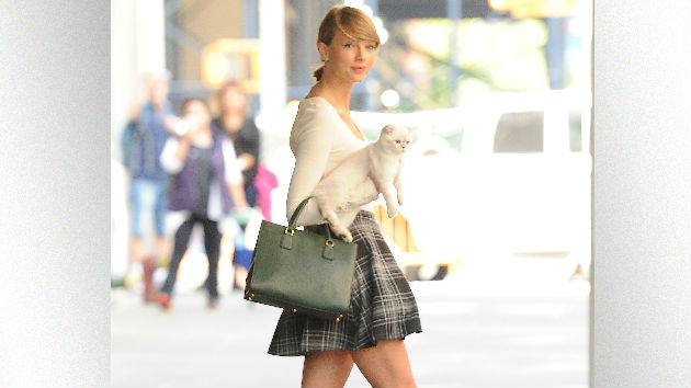 taylor swift cat shirt deadpool