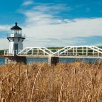 shutterstock_507513490630993