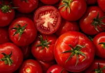 Fresh tomatoes - Top view