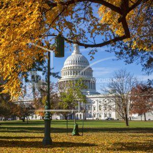 congress-sentencing-bill
