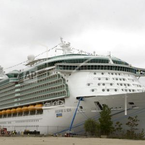 puerto-rico-cruise-ship-death
