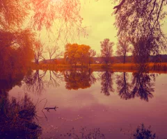 autumn-rural-landscape-with-lake-at-sunrise