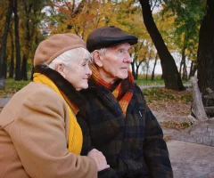 happy-grandparents-hugging-and-smiling-while-sitting-on-bench-carved-from-tree-trunk-i-sbi-349957540