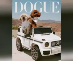 m_doguesabrinacarpenter_08182597530