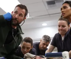 e_thepitt_082125586753