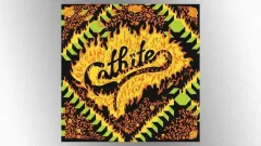 m_catbite_032625137500