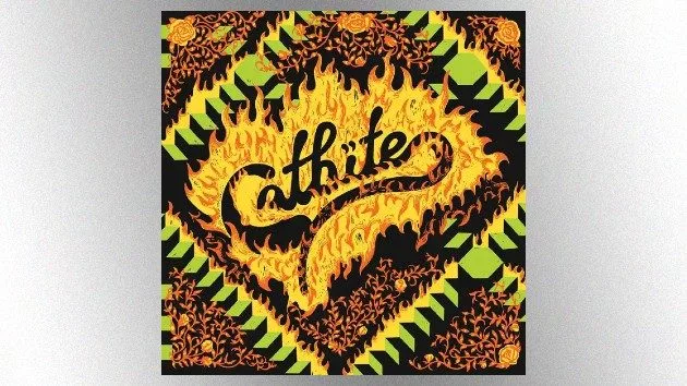 m_catbite_032625137500