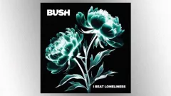 m_bush_04172569959