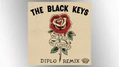 m_blackkeysdiplo_060625632957
