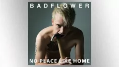 m_badflower_040425543103