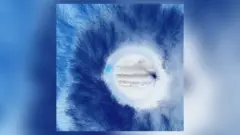 m_wombats_091725346803