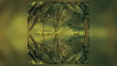 m_bandofhorses_011226136571