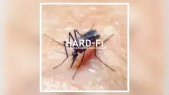 m_hardfi_030426992421