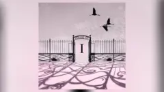 m_afghanwhigs_031926231764