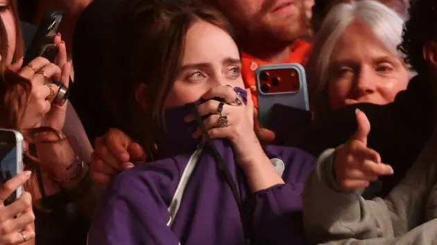 getty_billieeilishincoachellacrowd_042026619478