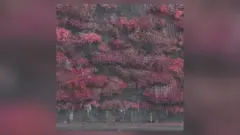 m_sleeptoken_122325308587