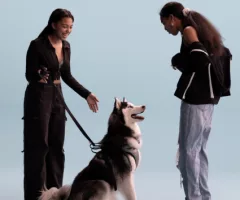 e_pets_041625227619