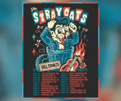 m_straycatstouradmat_072825530458