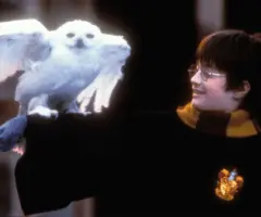getty_harrypotter_082525307918