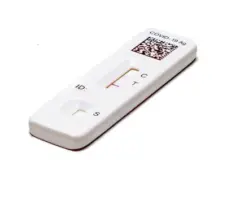 g_covidtest_082925388897
