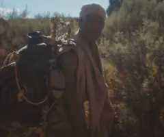 e_thewilderness_102725728957