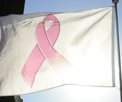 g_pinkribbon_103025150008
