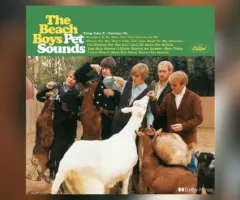 m_beachboyspetsounds_060223272565