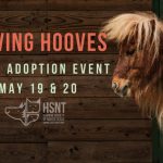 saving-hooves-2018b-832