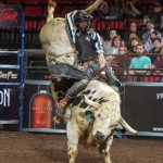 bullriding-rfp-0318191-1240x825