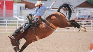 saddle-bronc